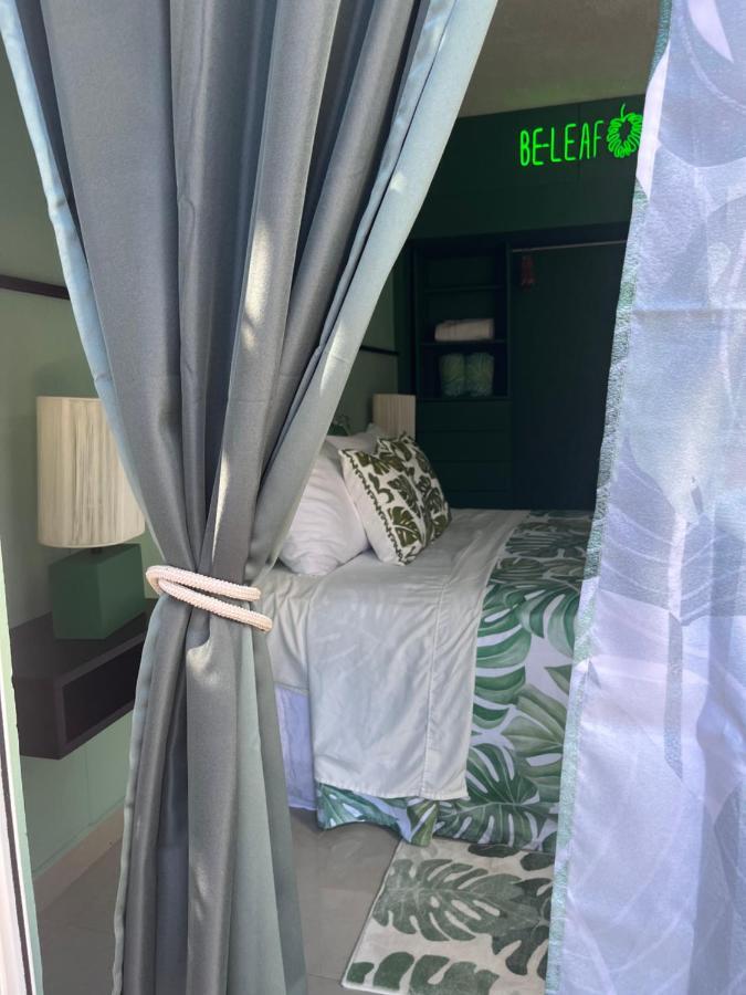 Dici Co-Living Housing Cabo San Lucas Bed & Breakfast Екстериор снимка