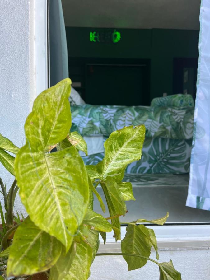Dici Co-Living Housing Cabo San Lucas Bed & Breakfast Екстериор снимка
