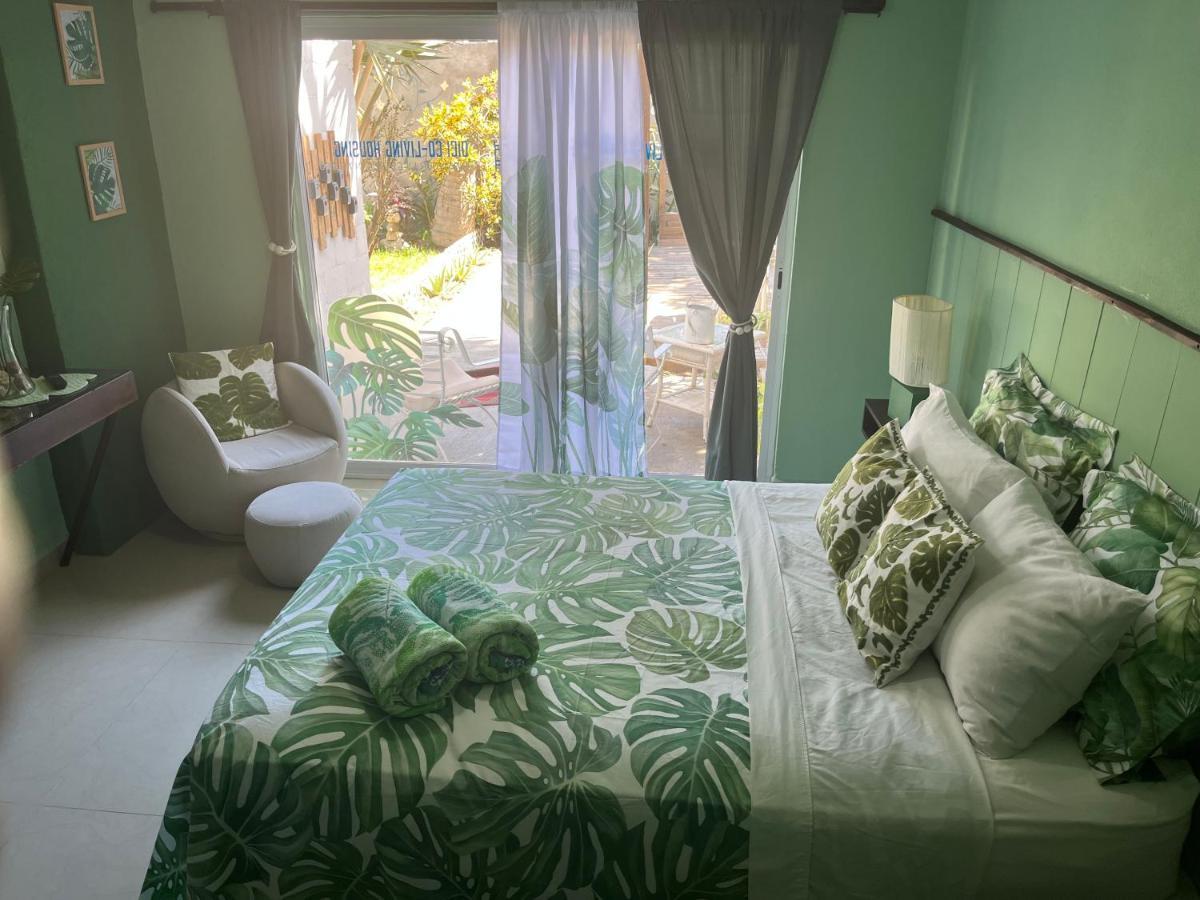Dici Co-Living Housing Cabo San Lucas Bed & Breakfast Екстериор снимка