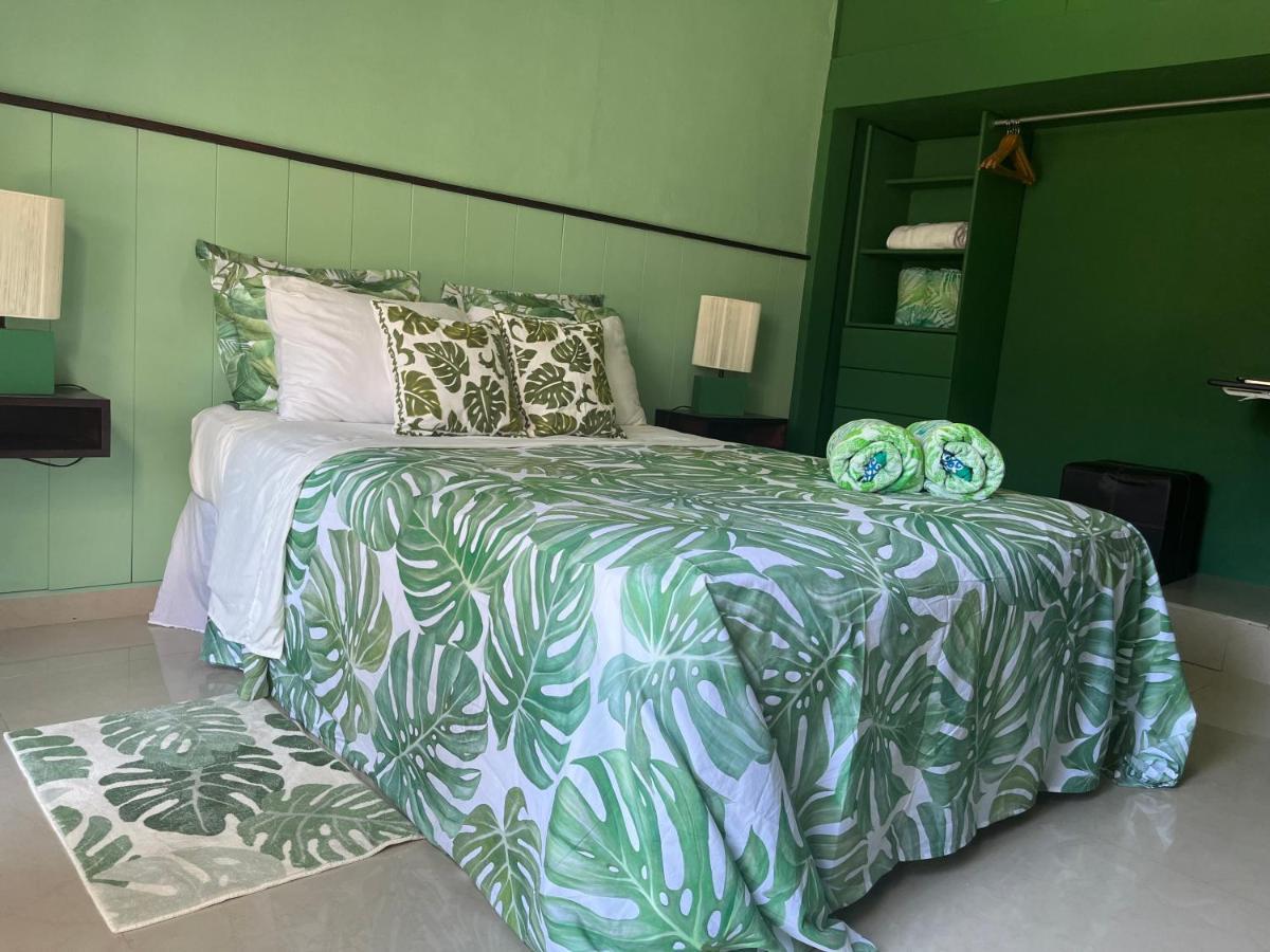 Dici Co-Living Housing Cabo San Lucas Bed & Breakfast Екстериор снимка