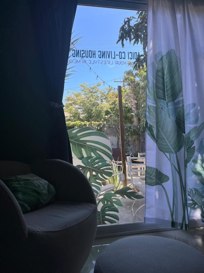 Dici Co-Living Housing Cabo San Lucas Bed & Breakfast Екстериор снимка